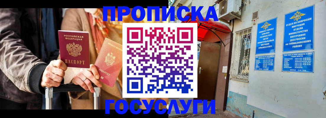 прописка гарантия в Сольцах